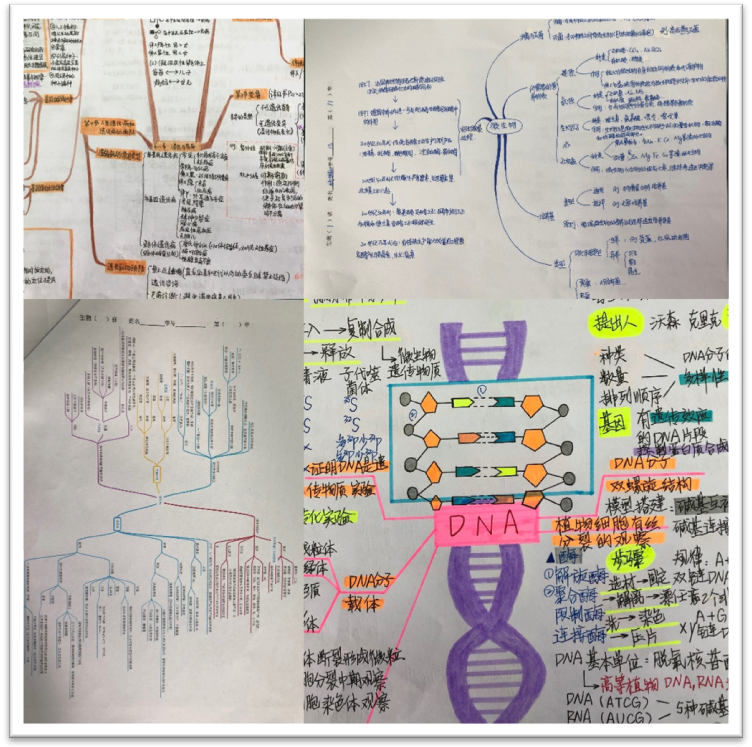 微信图片_20180416123337.png 微信图片_20180416123337.png