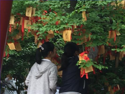 微信图片_20180511121521.jpg