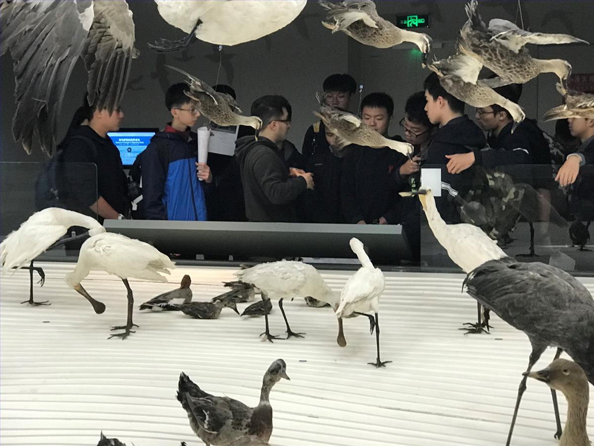 微信图片_201811300820192.jpg 微信图片_201811300820192.jpg