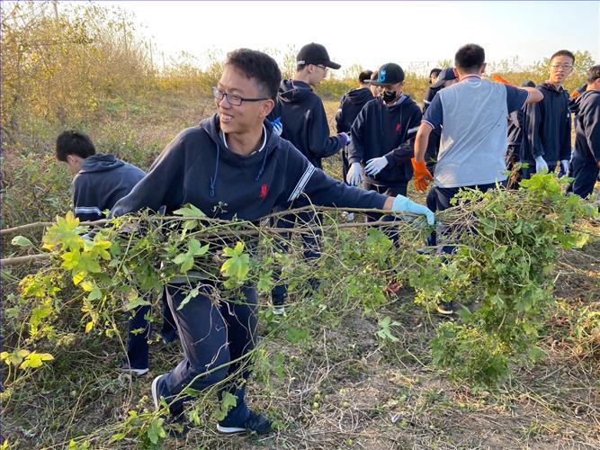 微信图片_20191107000227.jpg 微信图片_20191107000227.jpg