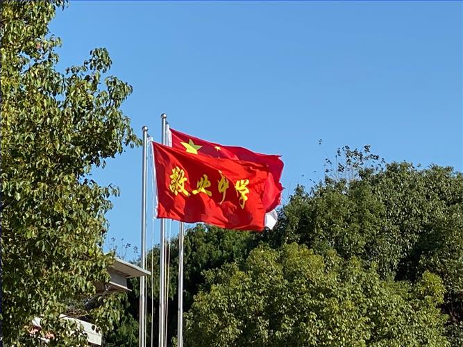 微信图片_20191108235033.jpg 微信图片_20191108235033.jpg