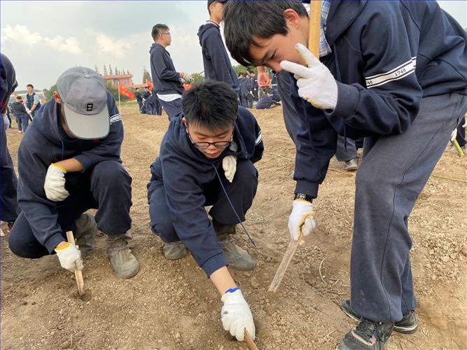 微信图片_20191108234115.jpg 微信图片_20191108234115.jpg