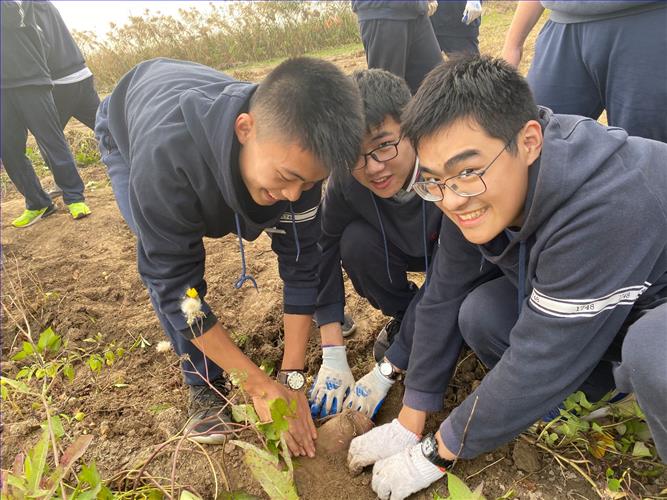 微信图片_20191108234310.jpg 微信图片_20191108234310.jpg
